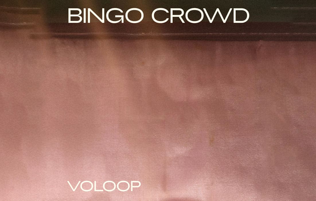 Bingo Crowd - Voloop