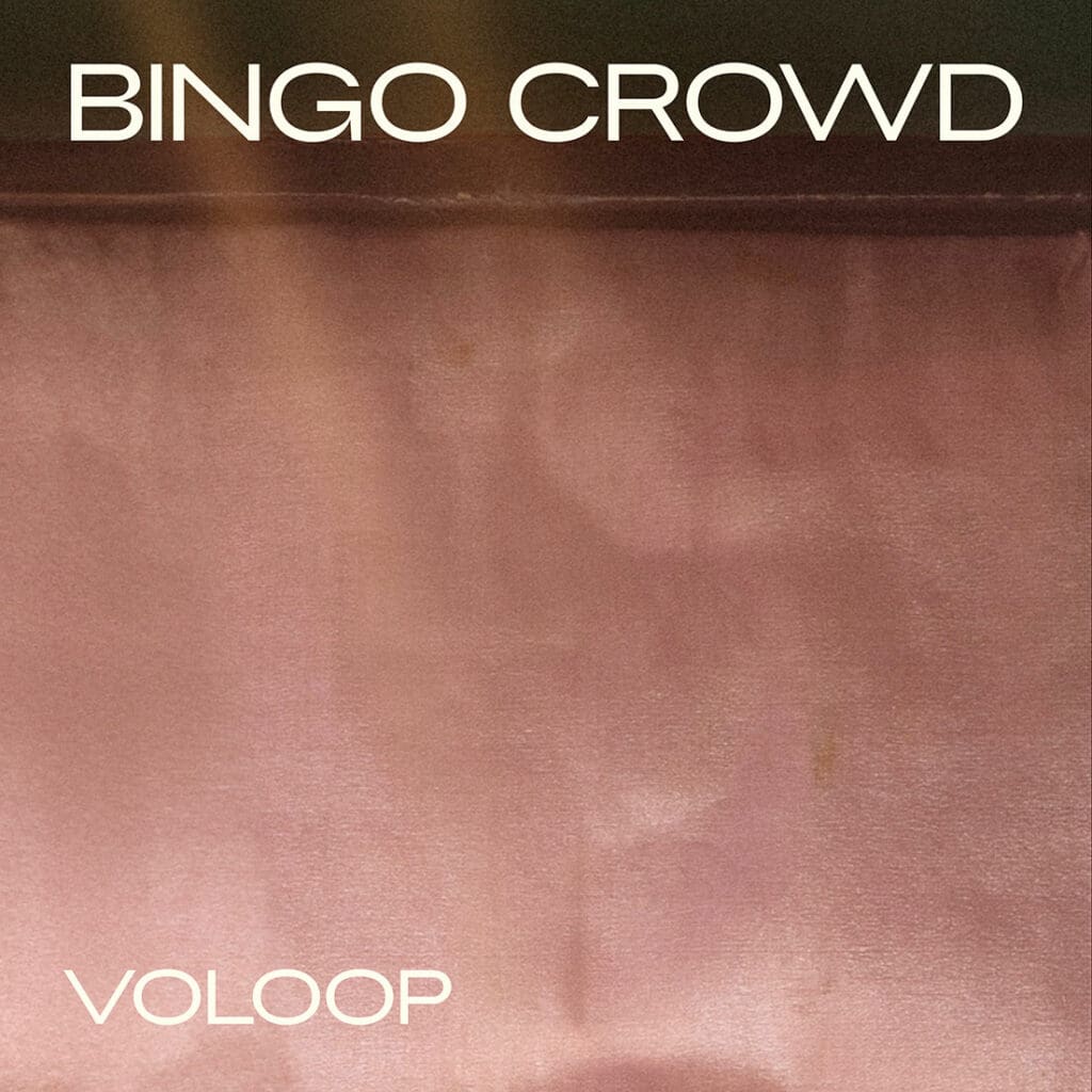 Bingo Crowd - Voloop