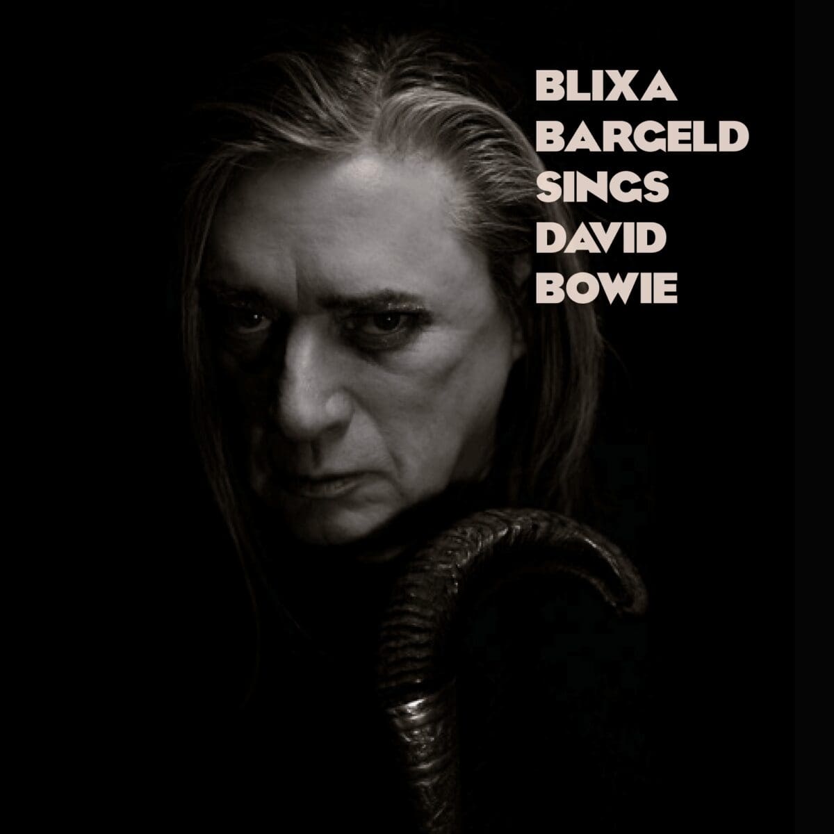 David Bowie パンフ Blixa-Bargeld-david-bowie-