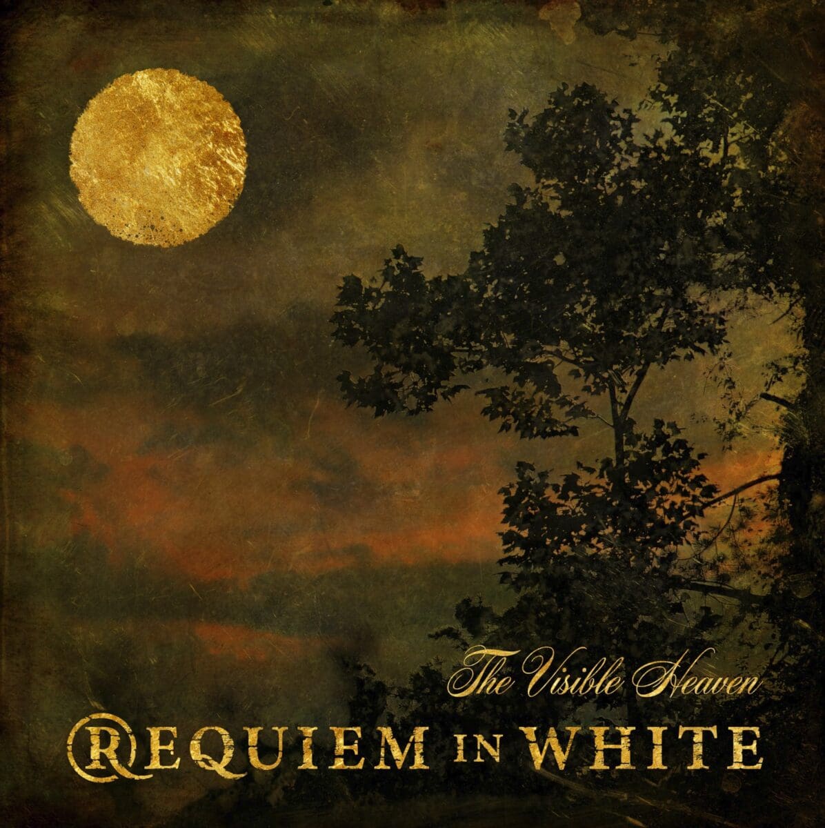 Requiem in White return with new album 
