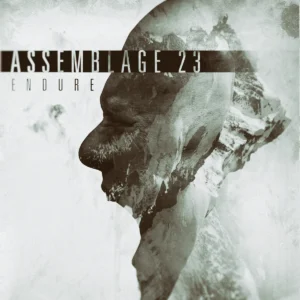 Assemblage 23's 'Endure' turns 10 on 9 September