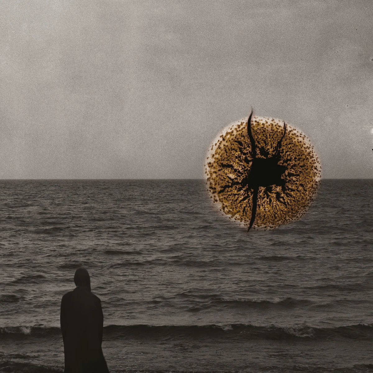 David Granström shares 'A Shadow Cast' ahead of 'Echoes of