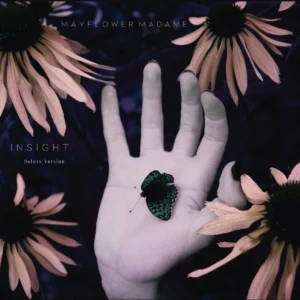 Mayflower Madame, Norwegian post-punk duo, "Insight" deluxe edition cover