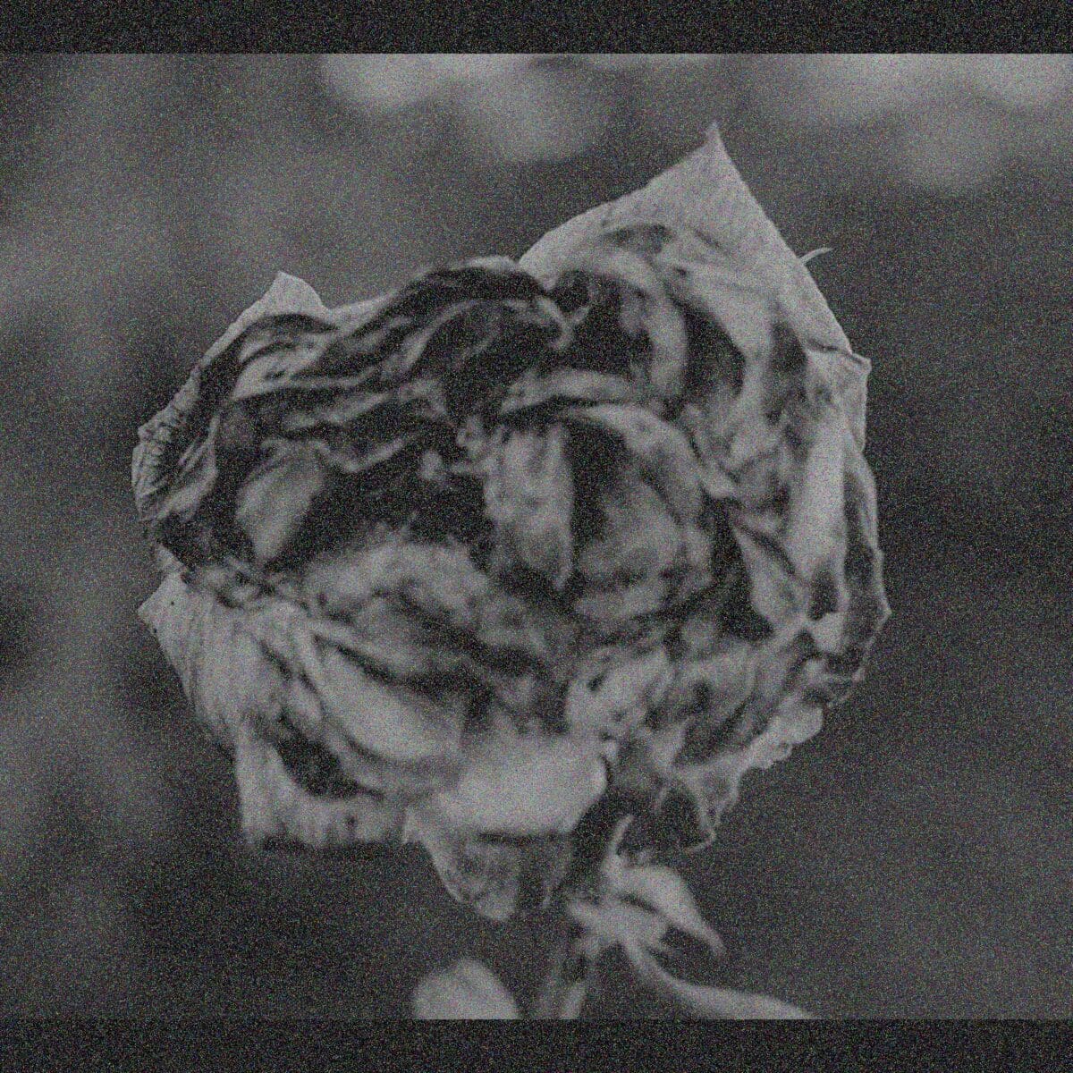Gare Terminus previews ‘Kenosis’ album with ‘Wisdom of the Forest’ video - SIDE-LINE
