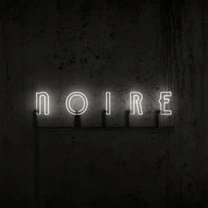 VNV Nation "Noire" album cover, reissued on vinyl by Metropolis Records